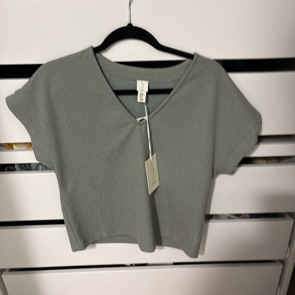 Joie Gray V-Neck Crop Top